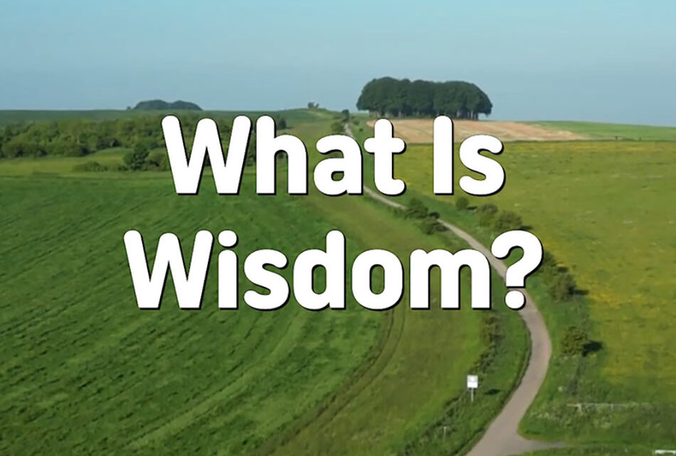 Master Woo Myung – How to Be Smart – What Is Wisdom?