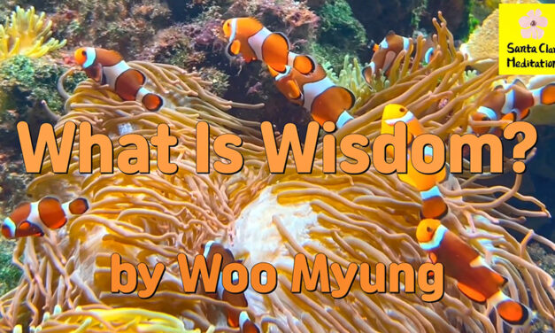 Master Woo Myung – How to Be Wise – What Is Wisdom?