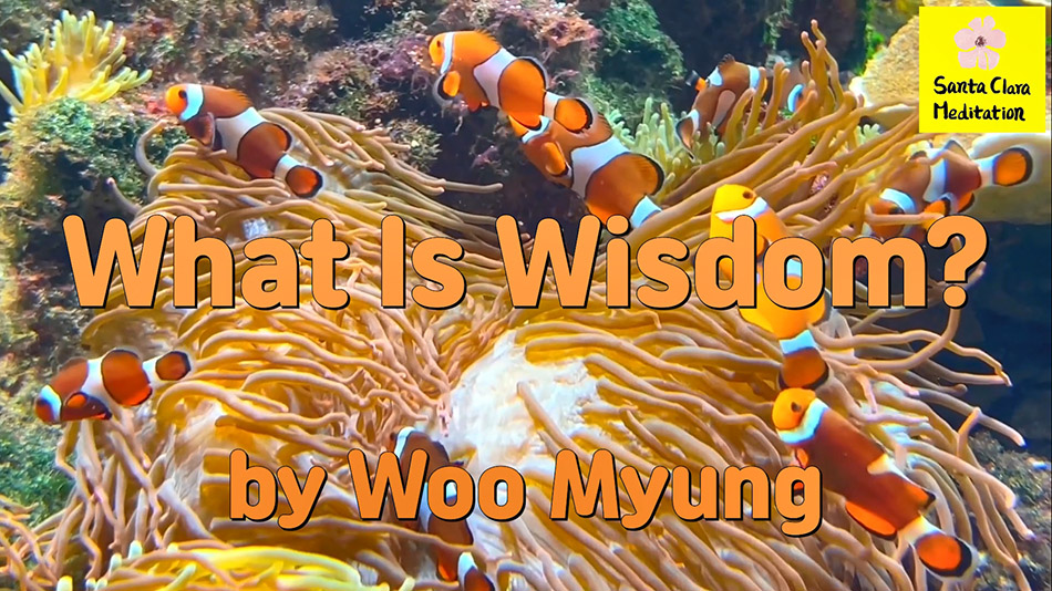 Master Woo Myung – How to Be Wise – What Is Wisdom?