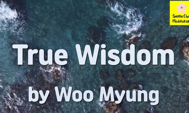 Master Woo Myung – Method to Gain Wisdom – True Wisdom