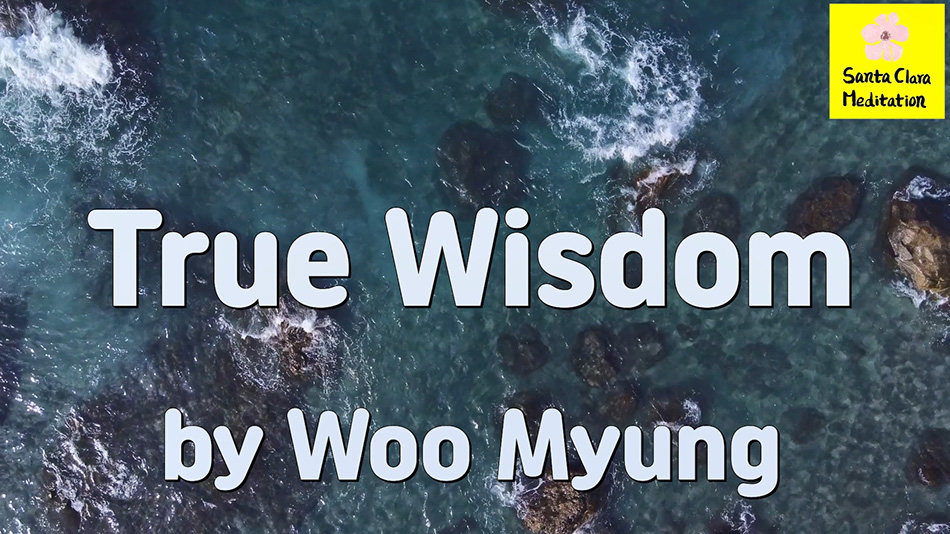 Master Woo Myung – Method to Gain Wisdom – True Wisdom