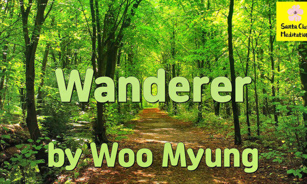 Master Woo Myung – Wisdom Verses – Wanderer