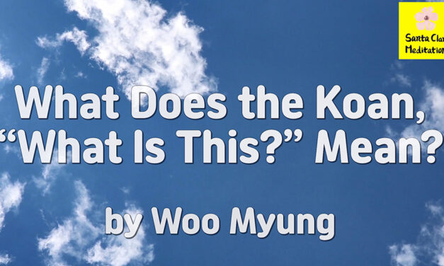 Master Woo Myung – Meaning of Enlightenment – What Does the Koan, “What Is This?” Mean?