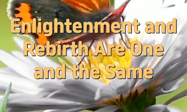 Master Woo Myung – Wisdom Quote – Enlightenment and Rebirth Are One and the Same