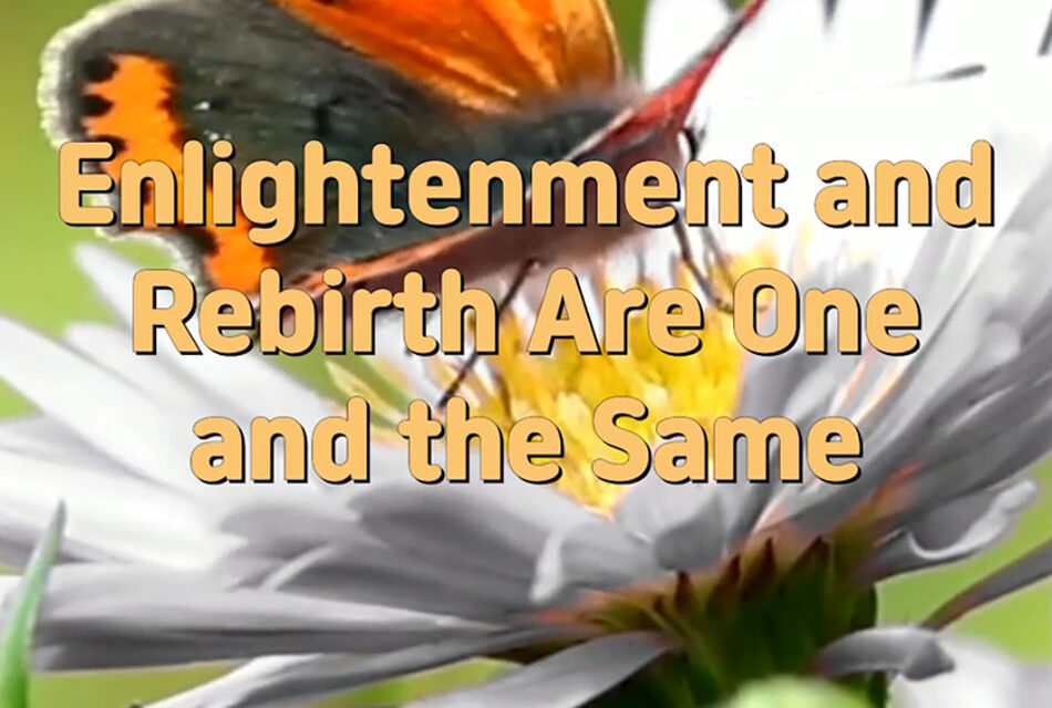 Master Woo Myung – Wisdom Quote – Enlightenment and Rebirth Are One and the Same