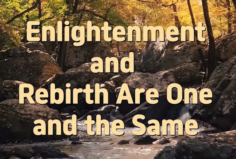 Master Woo Myung – Quote – Enlightenment and Rebirth Are One and the Same