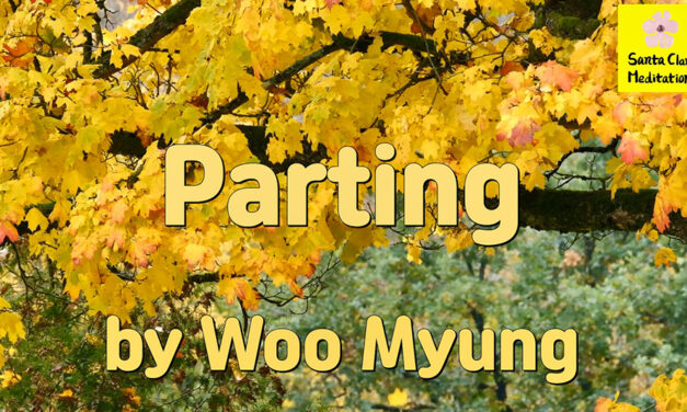 Master Woo Myung – Poetry – Parting