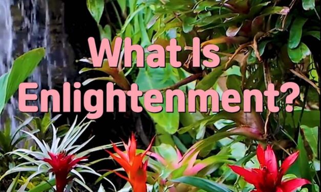 Master Woo Myung – Wisdom’s Answer – What Is Enlightenment?