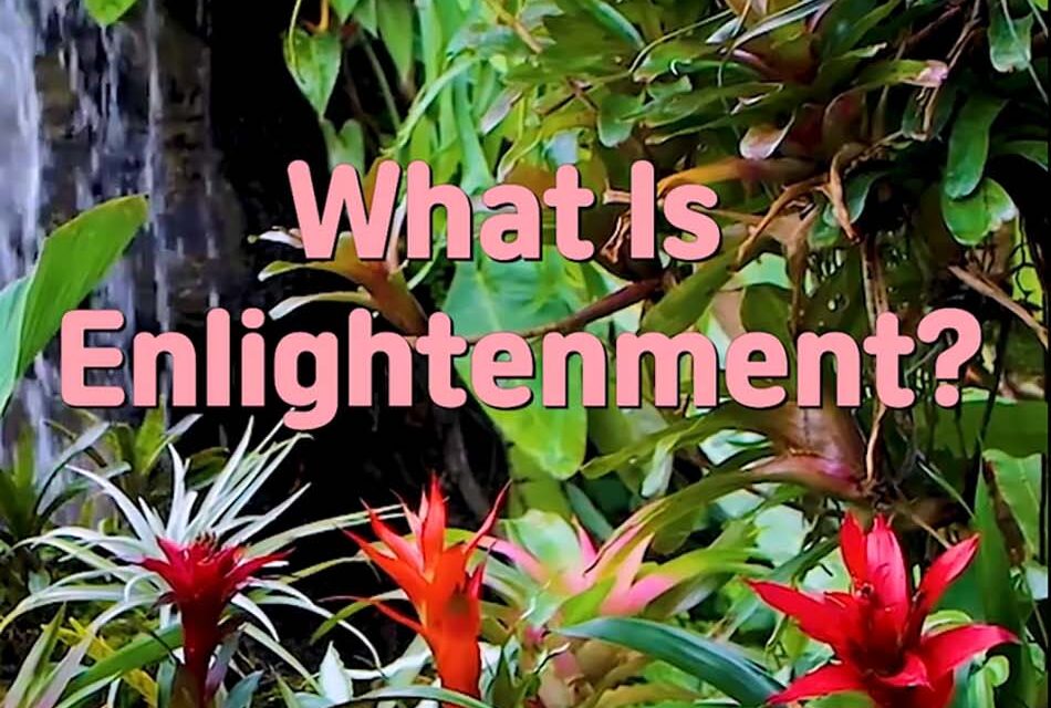 Master Woo Myung – Wisdom’s Answer – What Is Enlightenment?