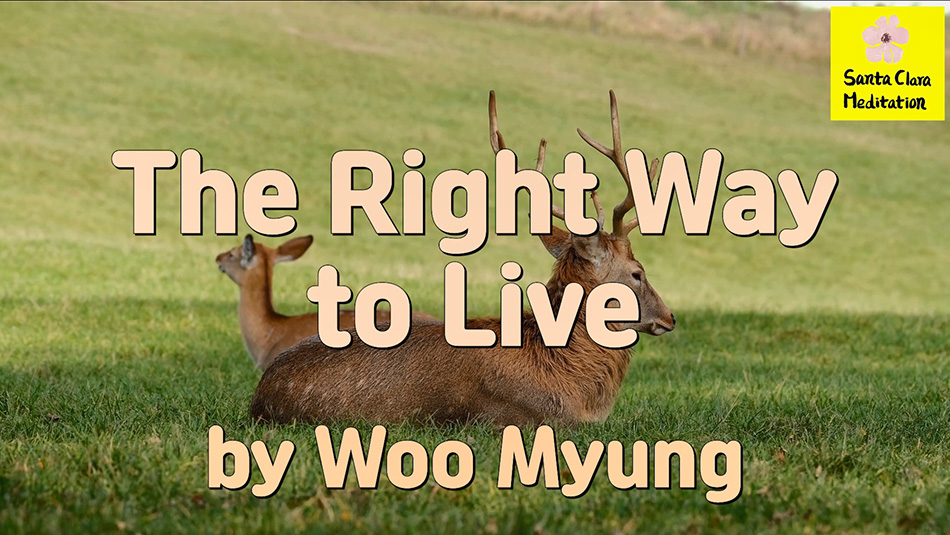 Master Woo Myung – Truth Message – The Right Way to Live