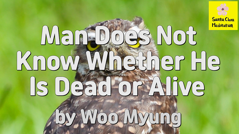 Master Woo Myung – Words – Man Does Not Know Whether He Is Dead or Alive