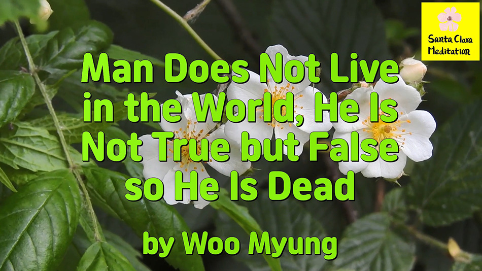 Master Woo Myung – Meditation Writing – Man Does Not Live in the World, He Is Not True but False so He Is Dead