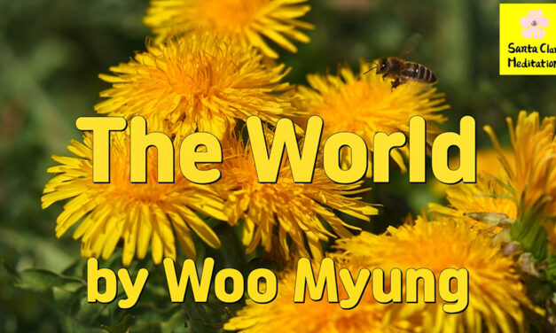 Master Woo Myung – Meditation Writing – The World