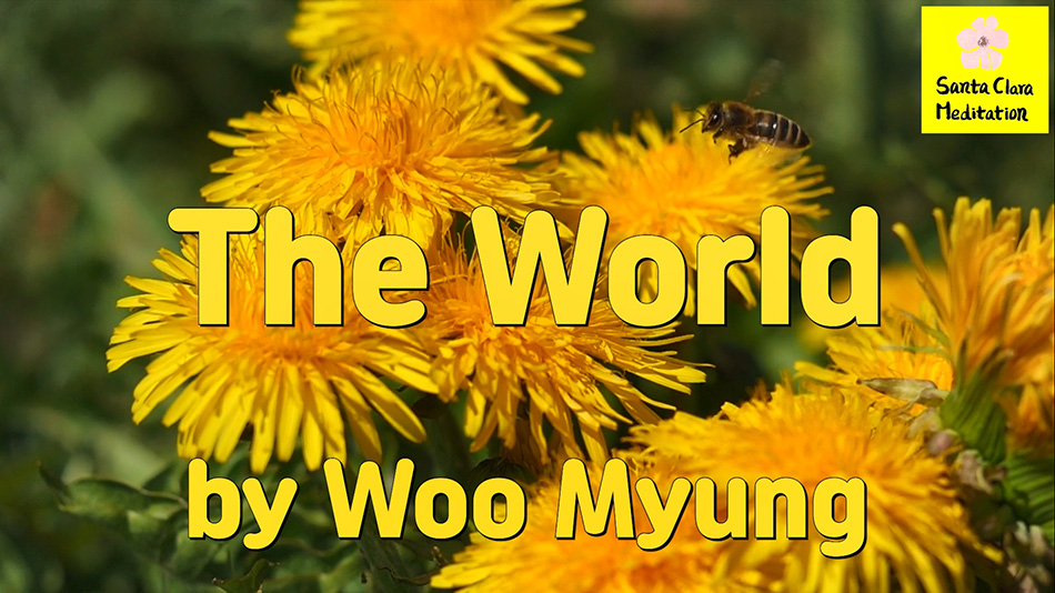 Master Woo Myung – Meditation Writing – The World