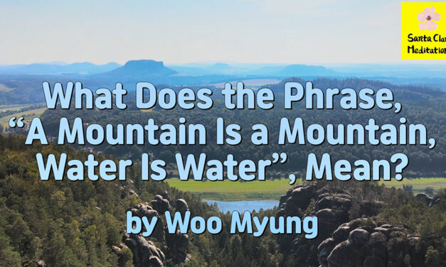 Master Woo Myung – Quote – What Does the Phrase, “A Mountain Is a Mountain, Water Is Water”, Mean?