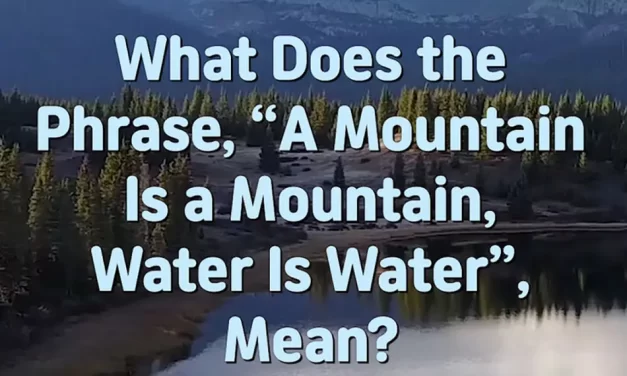 Master Woo Myung – Q&A – What Does the Phrase, “A Mountain Is a Mountain, Water Is Water”, Mean?