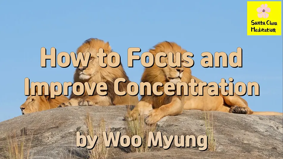 Master Woo Myung – Personal Development Tips – How to Focus and Improve Concentration