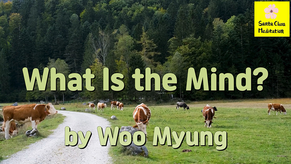 Master Woo Myung – Wisdom Quote – What is the Mind?