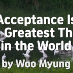 No.1 Bestselling Author Master Woo Myung – Acceptance Is the Greatest Thing in the World