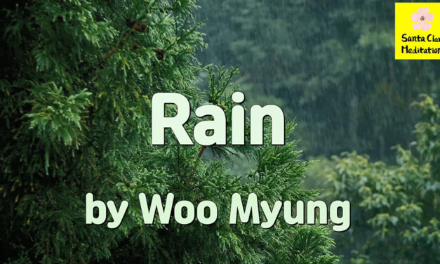 Master Woo Myung – Words of Enlightenment – Rain