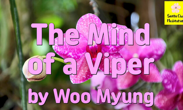 Master Woo Myung – Verses – The Mind of a Viper