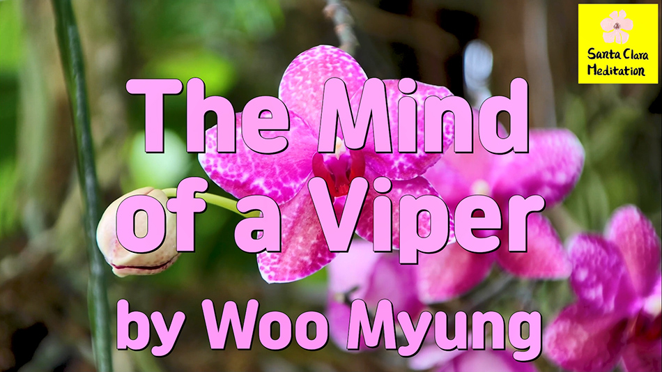 Master Woo Myung – Verses – The Mind of a Viper