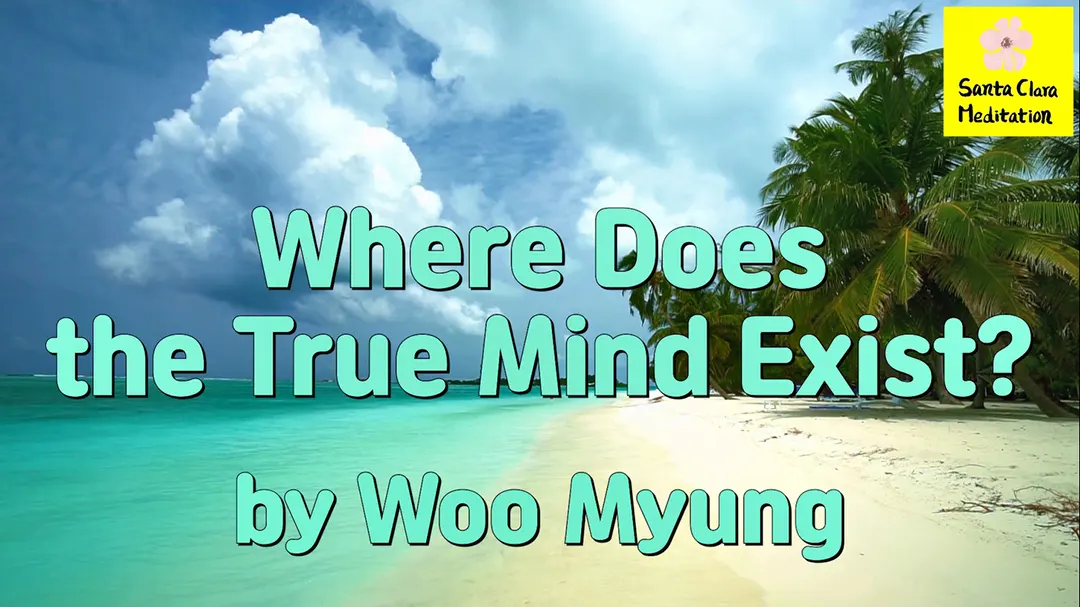 Master Woo Myung – How to Find True Mind – Where Does the True Mind Exist?