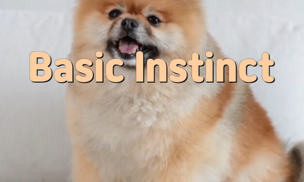 Master Woo Myung – Meditation Verses – Basic Instinct