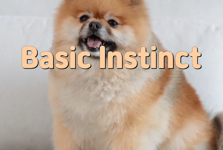 Master Woo Myung – Meditation Verses – Basic Instinct