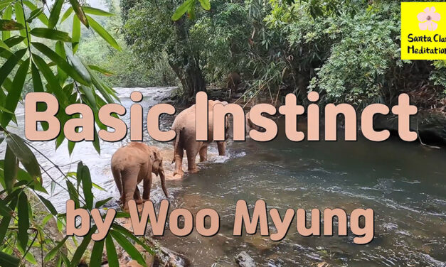 Master Woo Myung – Poetry – Basic Instinct