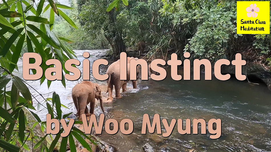 Master Woo Myung – Poetry – Basic Instinct