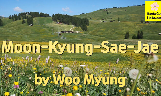 Master Woo Myung – Book – The Enlightened World – Moon-Kyung-Sae-Jae