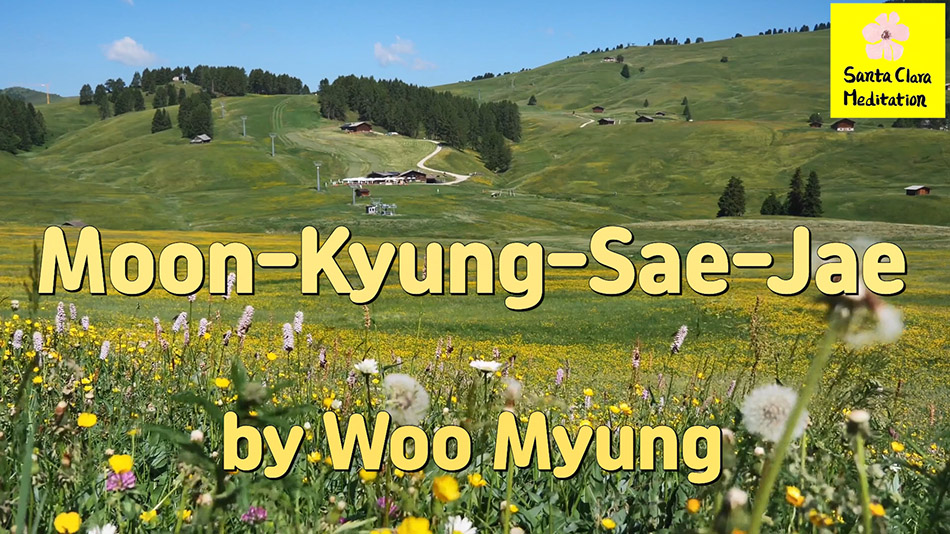 Master Woo Myung – Book – The Enlightened World – Moon-Kyung-Sae-Jae