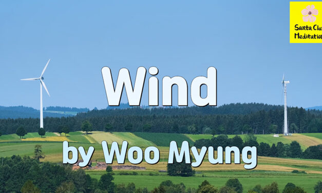 Master Woo Myung – Wisdom Poetry – Wind