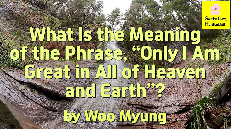 Master Woo Myung – Quote – What Is the Meaning of the Phrase, “Only I Am Great in All of Heaven and Earth”?