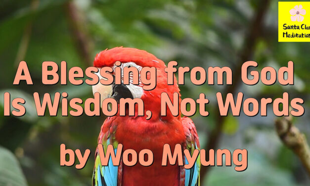 Master Woo Myung – #1 Amazon Bestseller – Stop Living in This Land Go to the Everlasting World of Happiness Live There Forever – A Blessing from God Is Wisdom, Not Words