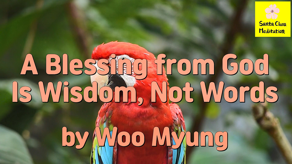 Master Woo Myung – #1 Amazon Bestseller – Stop Living in This Land Go to the Everlasting World of Happiness Live There Forever – A Blessing from God Is Wisdom, Not Words