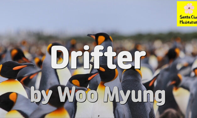 Master Woo Myung – Meditation Poetry – Drifter