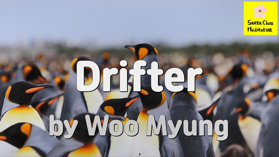 Master Woo Myung – Meditation Poetry – Drifter