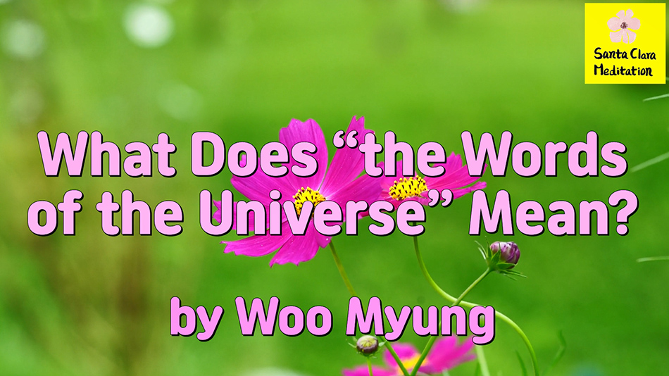 Master Woo Myung – Truth’s Answer – What Does “the Words of the Universe” Mean?