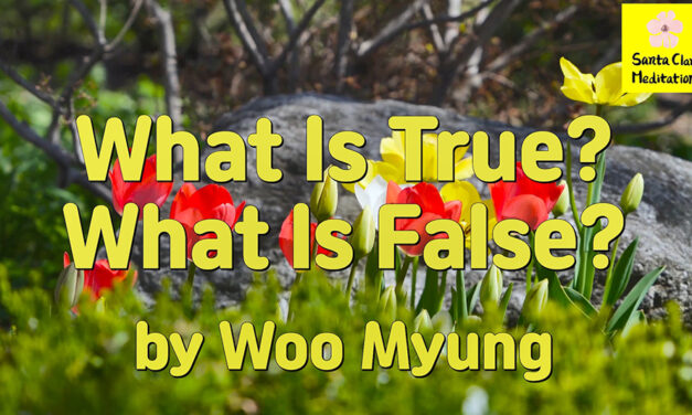 Master Woo Myung – Words of Life – What Is True ? What Is False ?