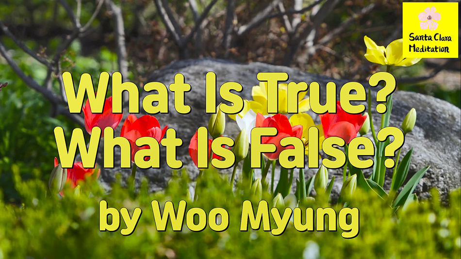 Master Woo Myung – Words of Life – What Is True ? What Is False ?