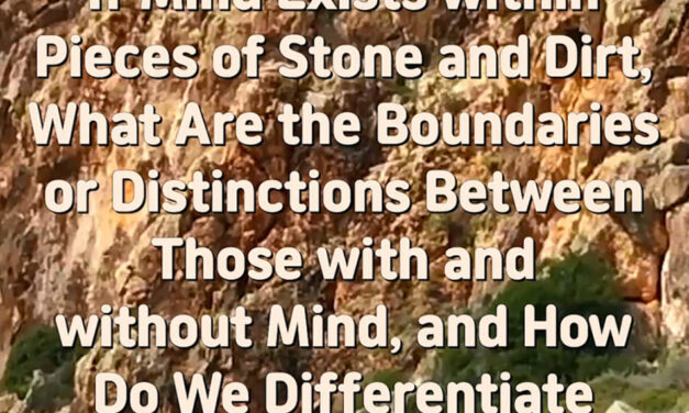 Master Woo Myung – Truth’s Answer – If Mind Exists within Pieces of Stone and Dirt, What Are the Boundaries or Distinctions Between Those with and without Mind, and How Do We Differentiate Between Them?