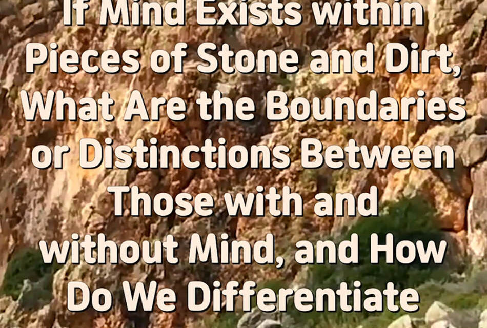 Master Woo Myung – Truth’s Answer – If Mind Exists within Pieces of Stone and Dirt, What Are the Boundaries or Distinctions Between Those with and without Mind, and How Do We Differentiate Between Them?