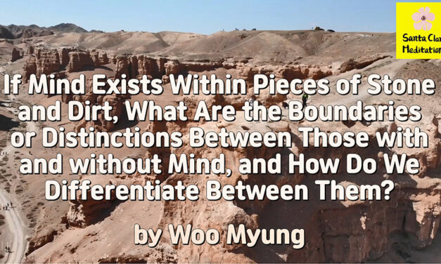 Master Woo Myung – Q&A – If Mind Exists Within Pieces of Stone and Dirt, What Are the Boundaries or Distinctions Between Those with and without Mind, and How Do We Differentiate Between Them?