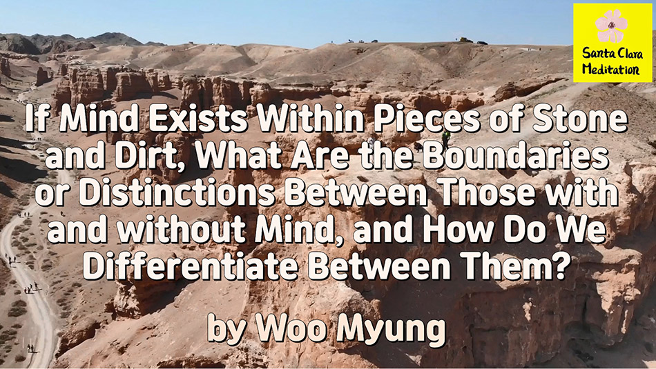 Master Woo Myung – Q&A – If Mind Exists Within Pieces of Stone and Dirt, What Are the Boundaries or Distinctions Between Those with and without Mind, and How Do We Differentiate Between Them?