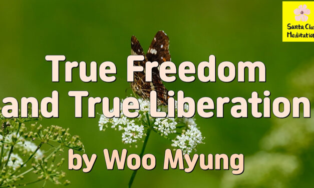 Master Woo Myung – Happiness Matters – True Freedom and True Liberation