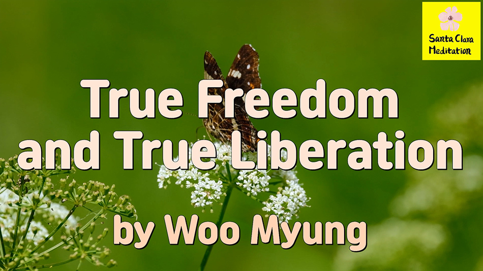 Master Woo Myung – Happiness Matters – True Freedom and True Liberation