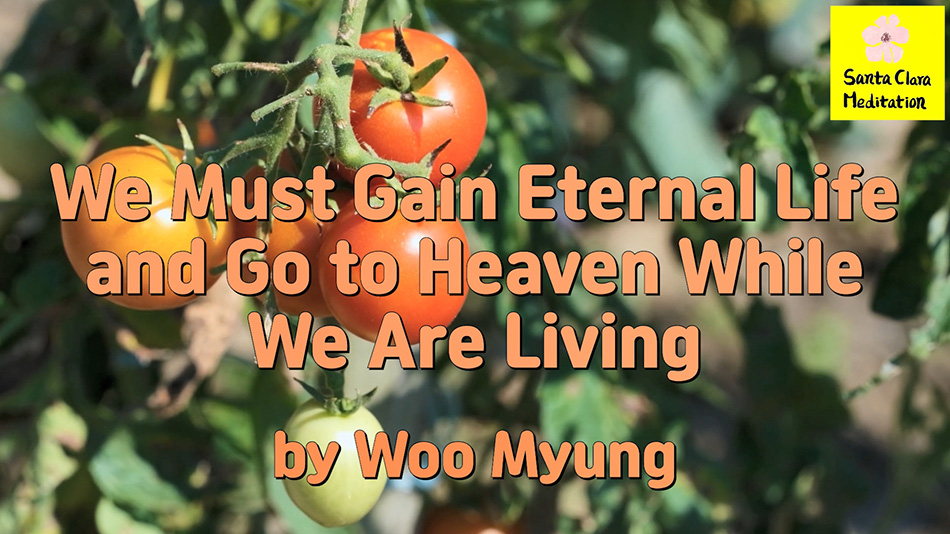 Master Woo Myung – Message – We Must Gain Eternal Life and Go to Heaven While We Are Living