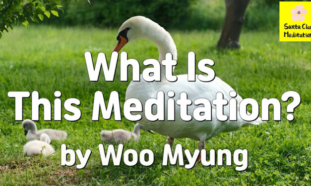 Master Woo Myung – Meditation Benefit – What Is This Meditation?